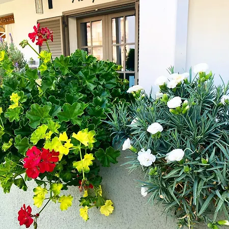 T H E Berlin And Vrasná