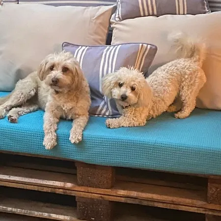 T H E Berlin And شقة