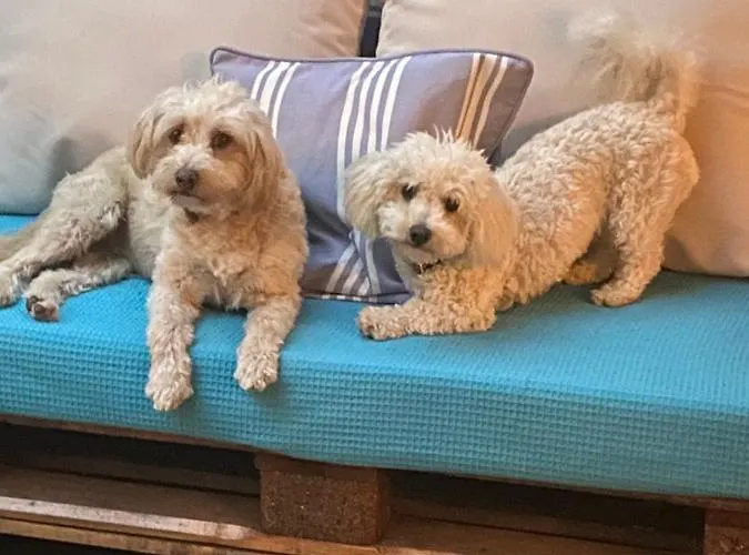 T H E Berlin And 公寓