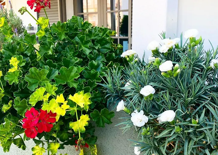 T H E Berlin And Vrasná